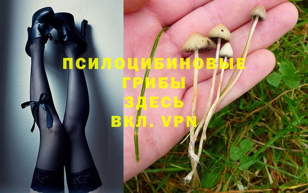 прущие крисы Богородск