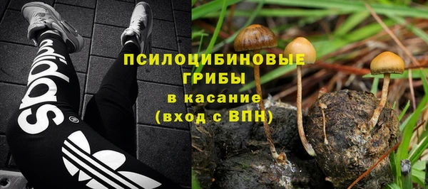 амф Богородицк