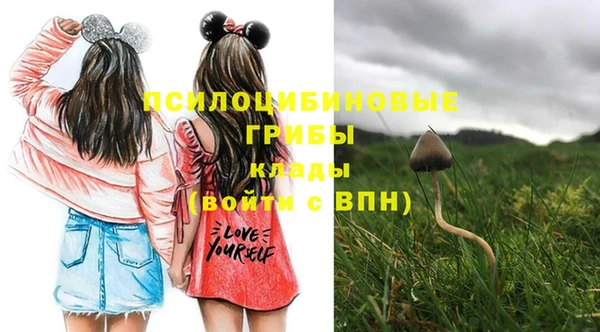 таблы Богданович