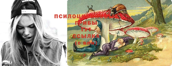 амф Богородицк