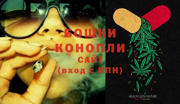 амф Богородицк