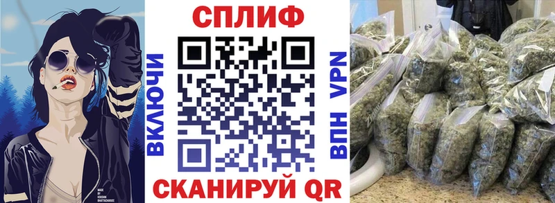 купить  сайты  Короча  Бошки Шишки сатива 
